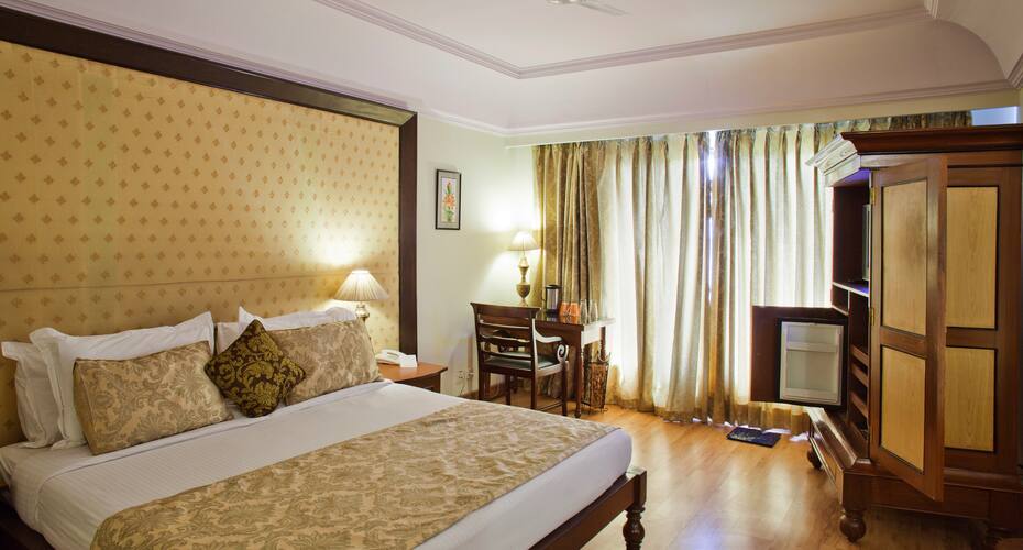Hotel RajBlas-A Boutique Hotel, Hansi 4